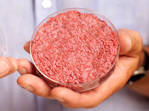 Picky Eater's Guide to Lab-Grown Meat: Making Cultured Protein Delicious and Nutritious in 2026
