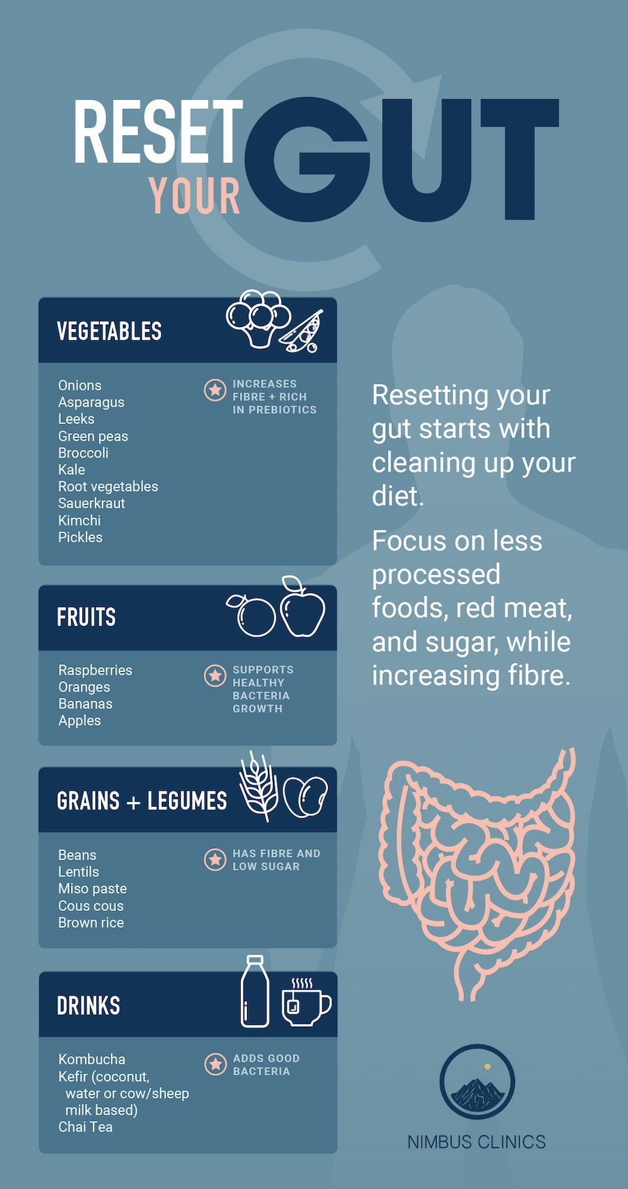 Microbiome Reset Protocol: The 30-Day Gut Health Challenge Taking America by Storm in 2026