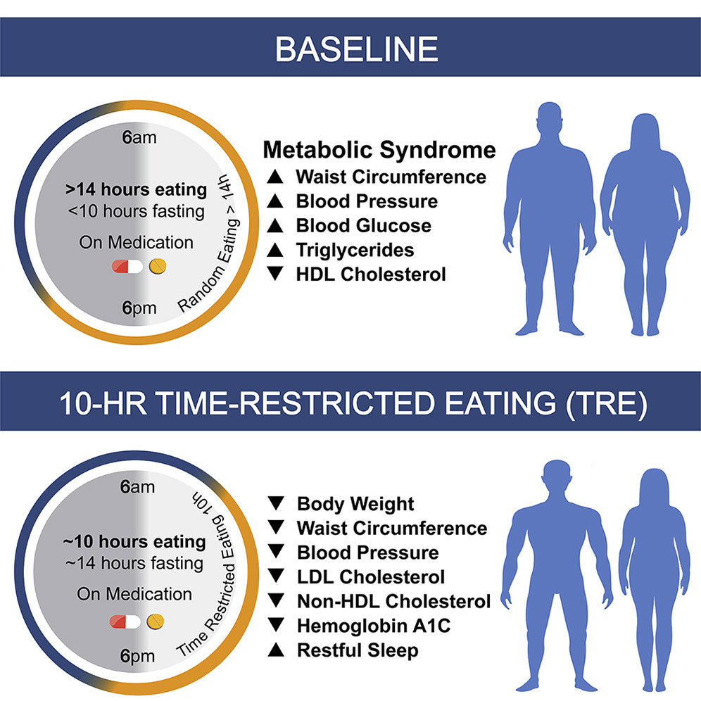 Intermittent Fasting 2026: The 14:10 Method That's Replacing 16:8 for Better Results