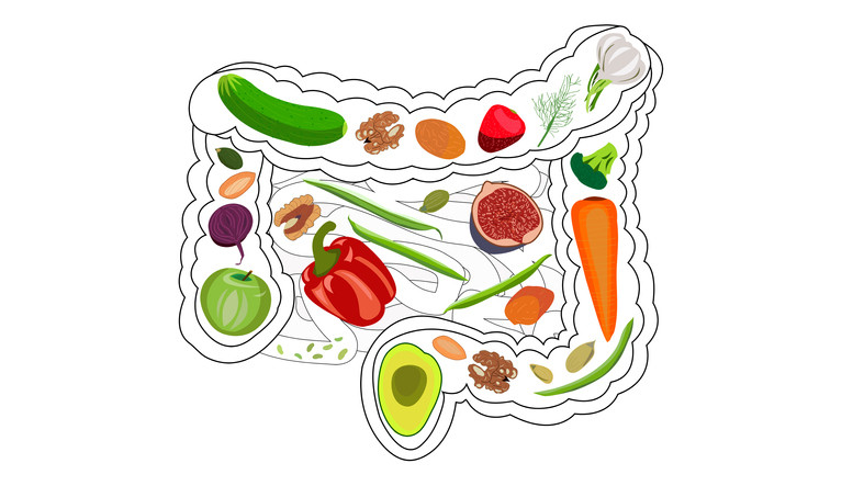 A healthy diet featuring gut-friendly foods