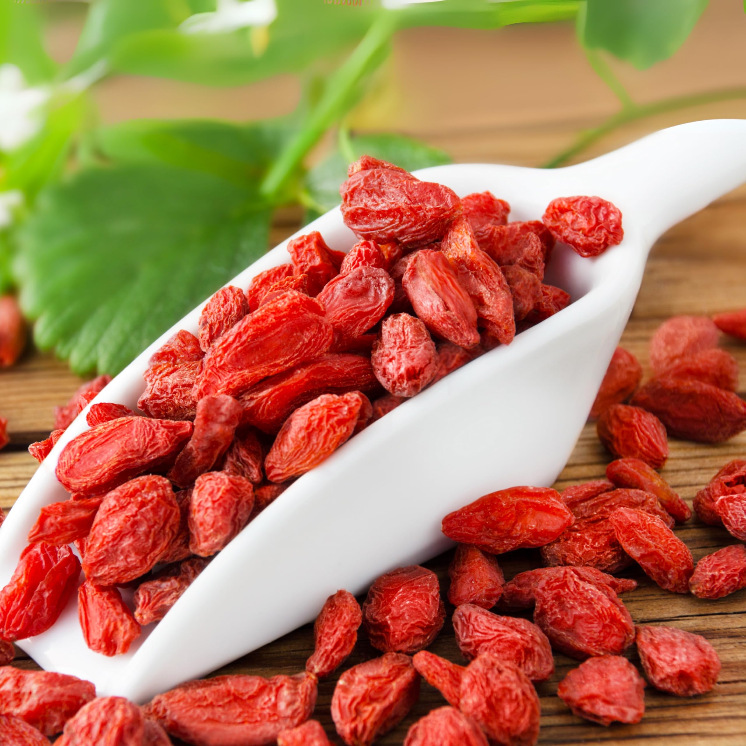 Extreme Health USA Cappuccino Covered Goji Berries