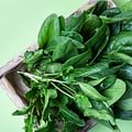 fresh spinach leaves