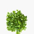 fresh parsley
