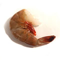 shrimp shells