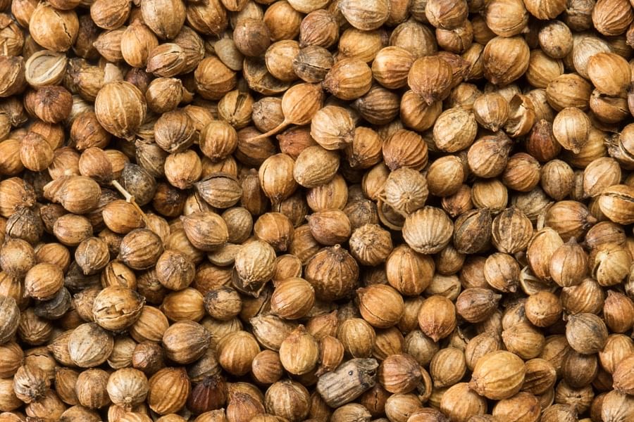 coriander seeds
