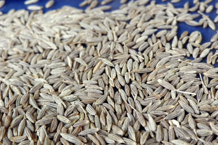 cumin seeds