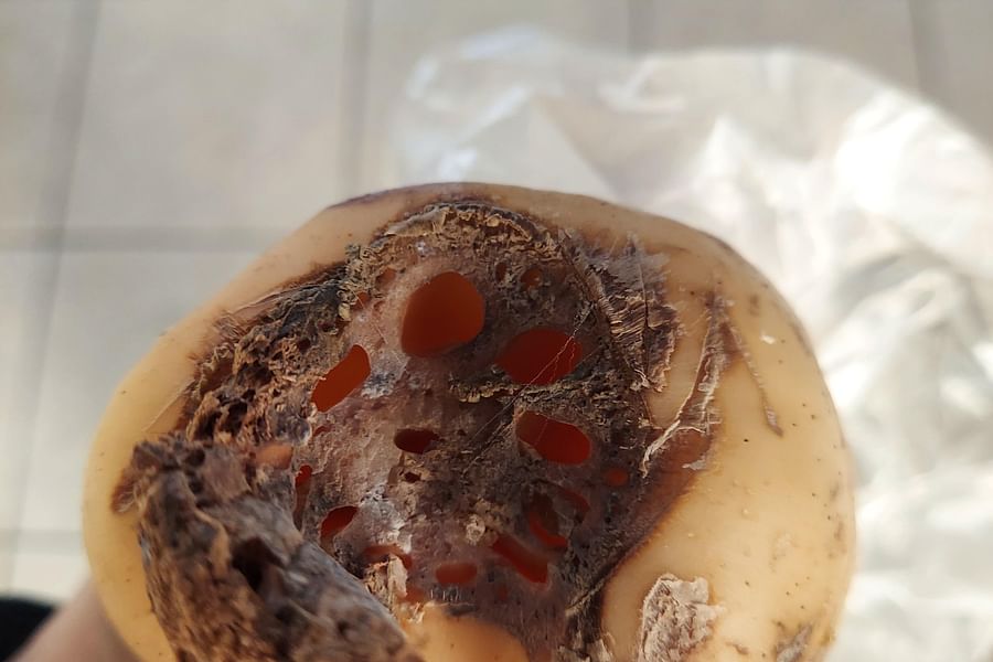 Yeongeun Jorim lotus root