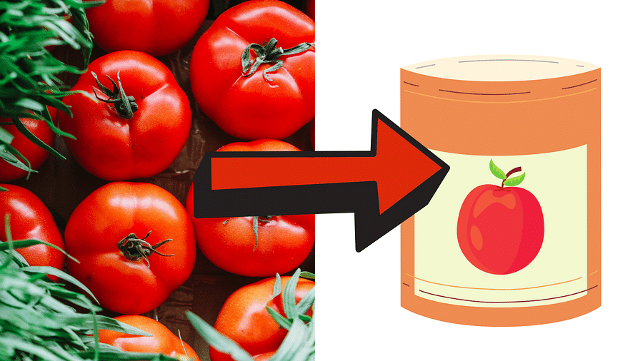 Unwrapping the Health Myths and Facts of Canned Foods